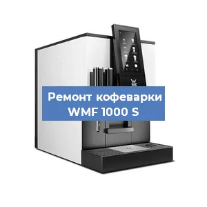 Чистка кофемашины WMF 1000 S от накипи в Ростове-на-Дону